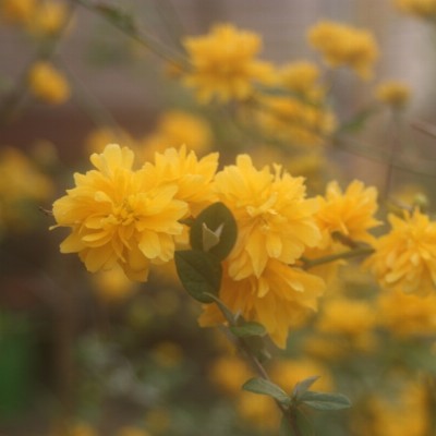 Welleco (Ruud Pleune) samen met Werkplaats Stap (Lieke Deelstra)