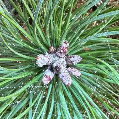 Katy Seegers, Praktijk voor regressie -en reïncarnatietherapie