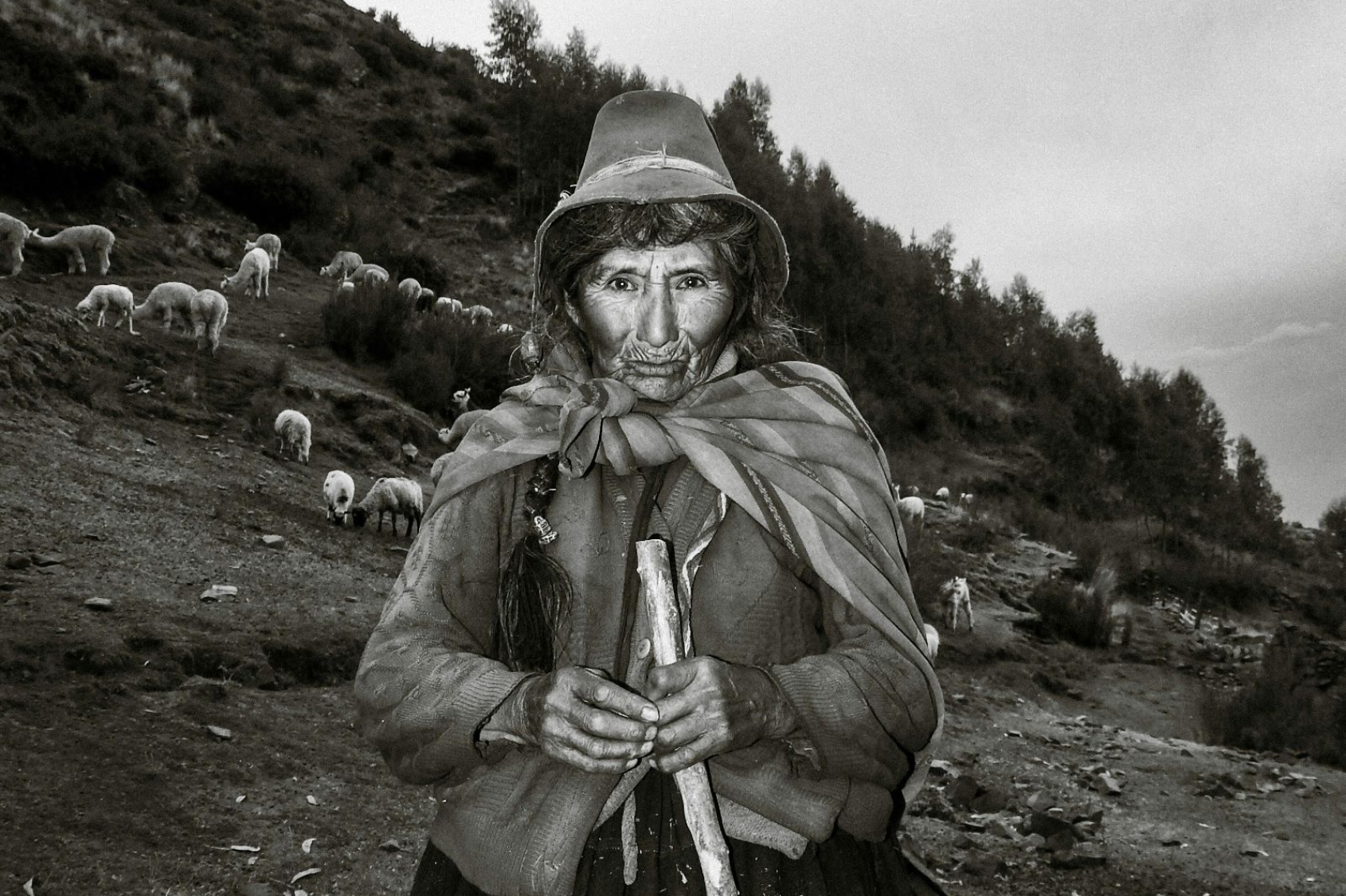 De stafdraagsters- vrouwen jaar cirkel~Maga en Crone fase