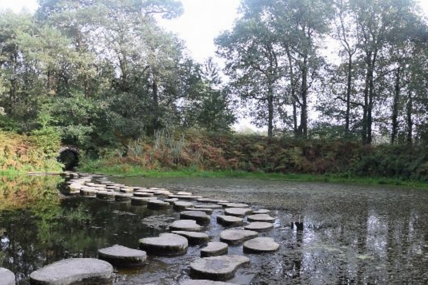 Wandelcoaching