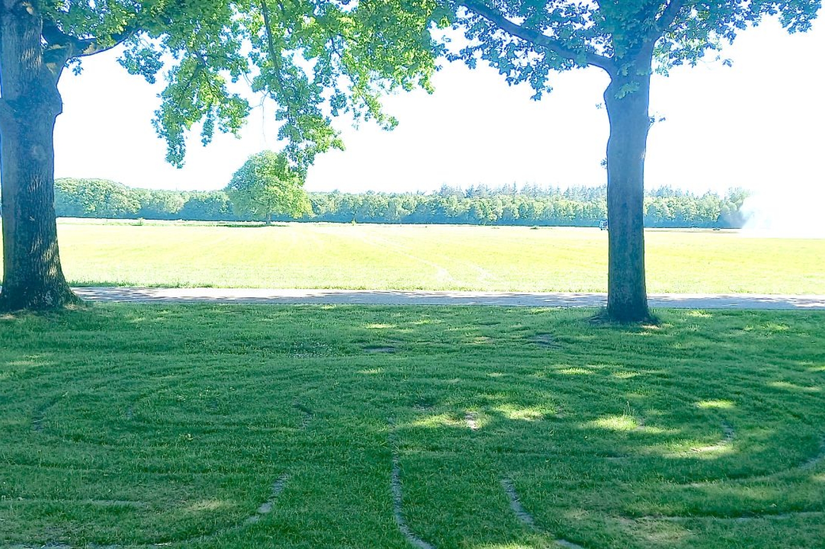 Nieuwe lente, nieuwe energie