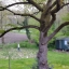 Foto 27 - Bettina Wargerink