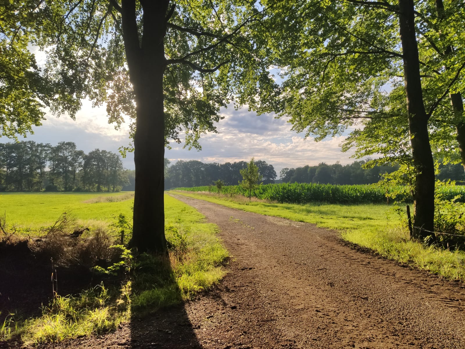 gasterij - galerie - lezingen - muziekmiddagen - workshops - locatieverhuuri