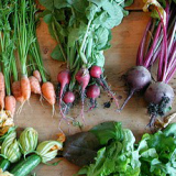 Overzicht verkooppunten groenten en fruit aan huis, in boerderijwinkels en op biologische markten in de Achterhoek